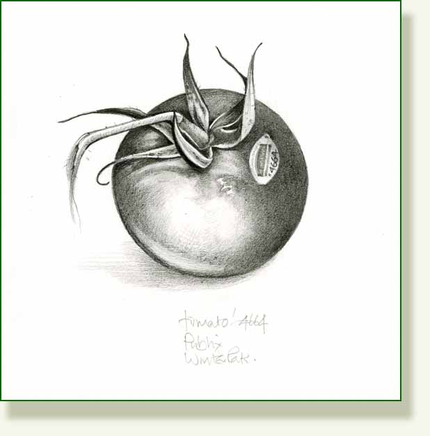 [tomato+4664.jpg]