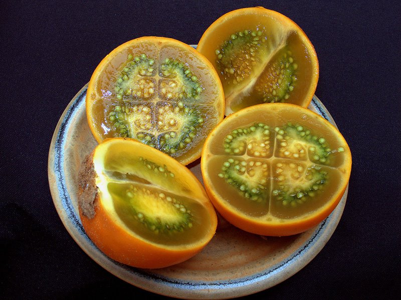 [solanum_quitoense.jpg]