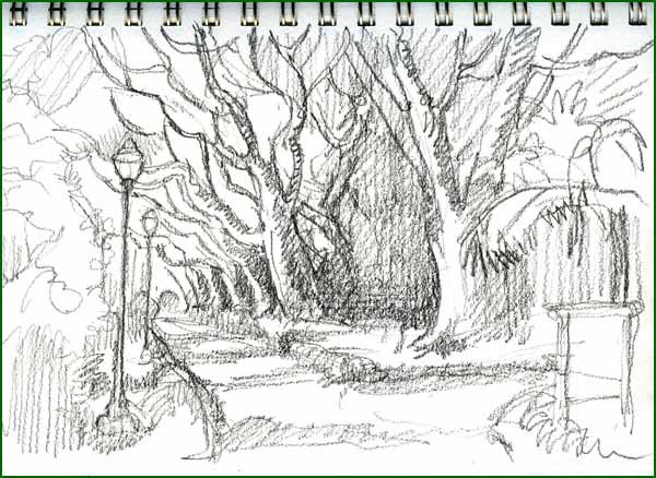 [camphor+trees.jpg]