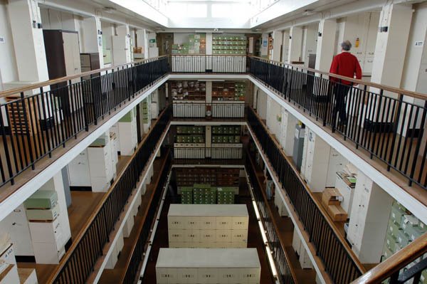 [GD6940579@THE-HERBARIUM,-KEW-GA-4391.jpg]