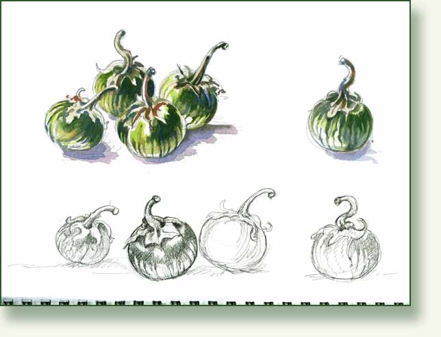 [aubergine+sketch.jpg]