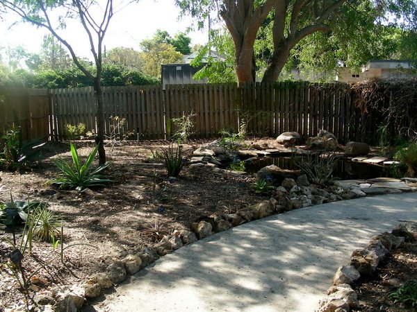 [arid+garden+replant.jpg]