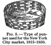 [punnet.jpg]