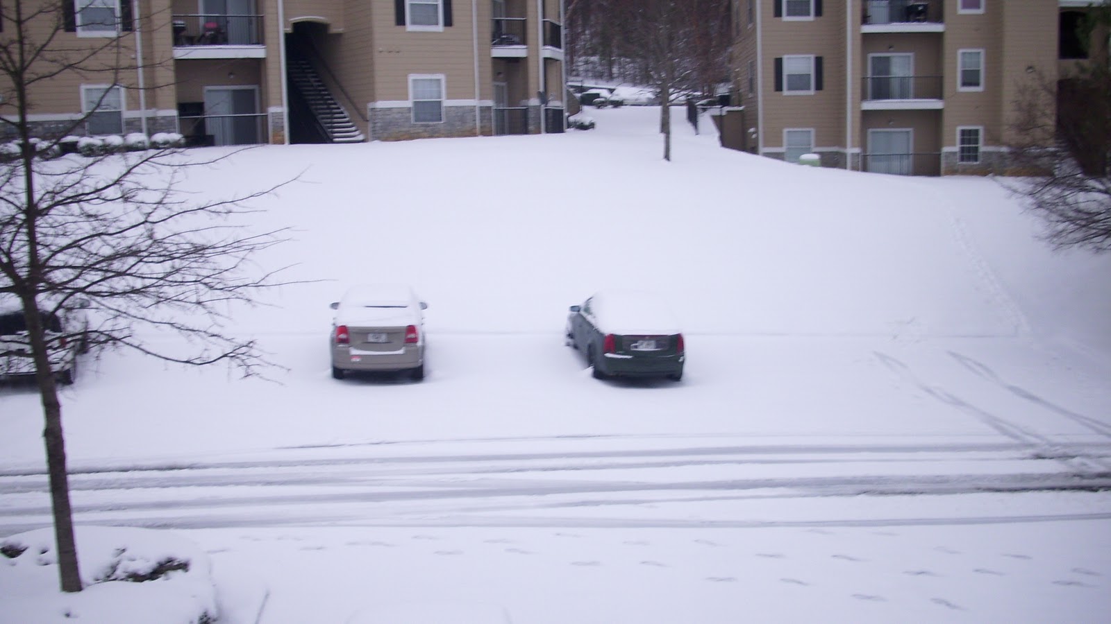 Beyond the South End Snow in