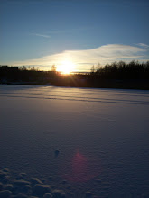 Vinterbild vid vänerns strand.