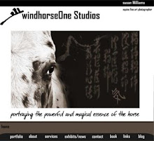 windhorseOne website