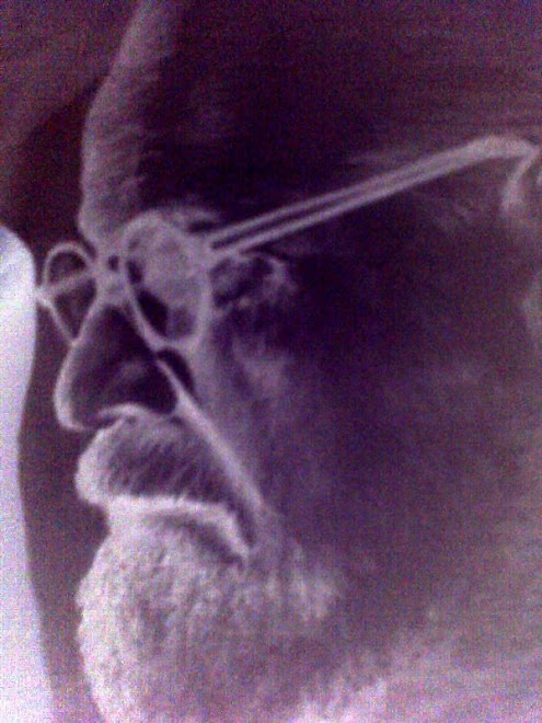 sigmund freud