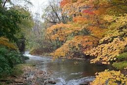 Four Mile Creek in Erie