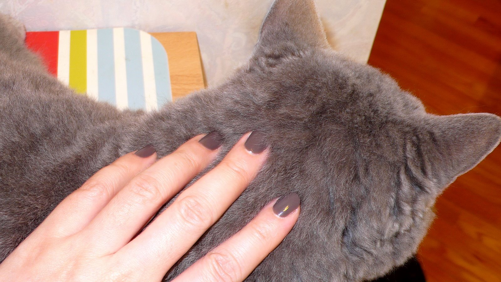 [P1010462.jpg]