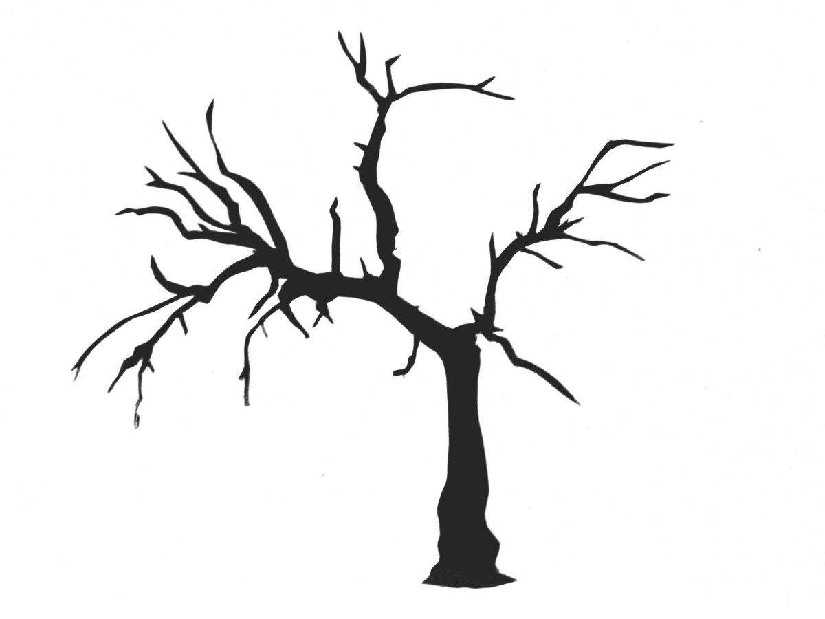 clipart tree no leaves - photo #32