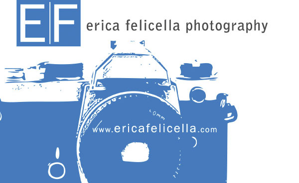 erica felicella photography and cella arts