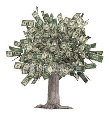 money_tree1.jpg