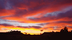 Phoenix sunrise