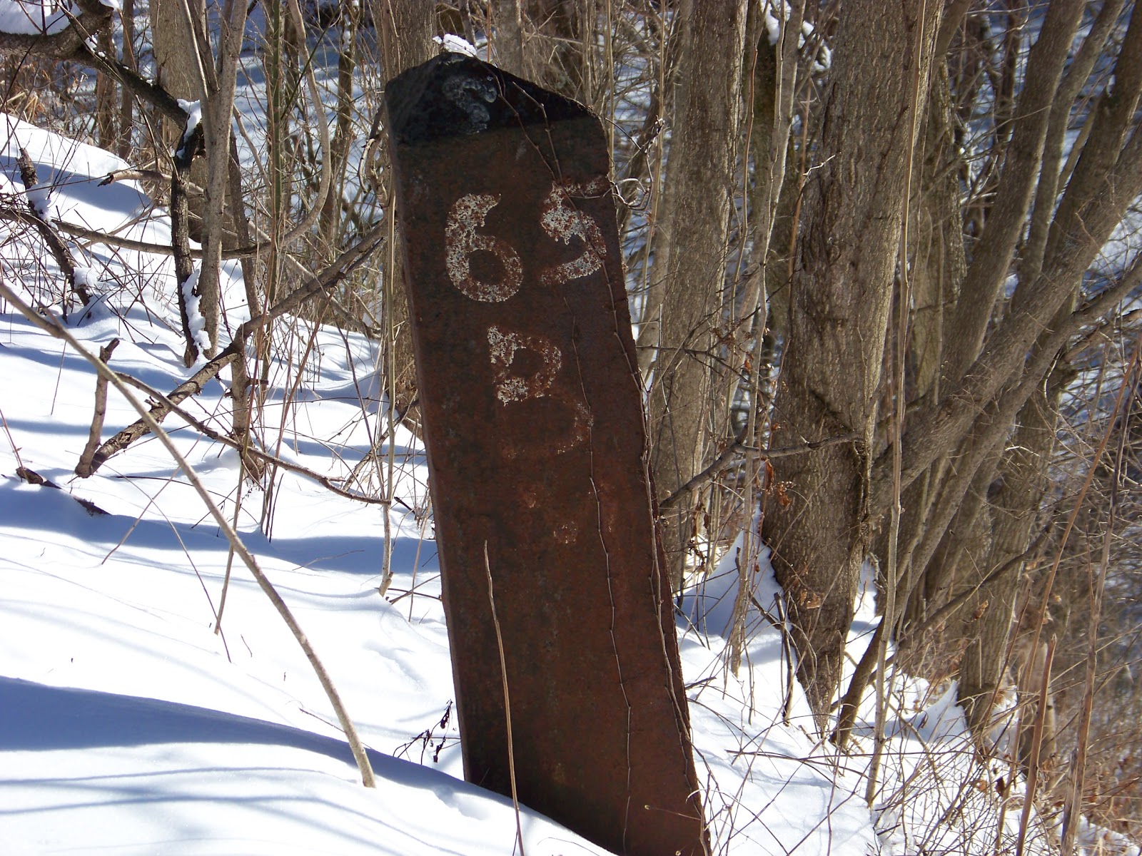 SWPA Rural Exploration A winter walk down the Rices Landing, PA rails