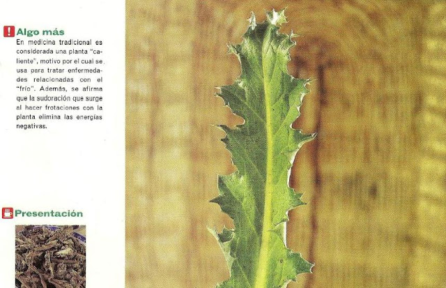 Botiquín Natural: Escorzonera