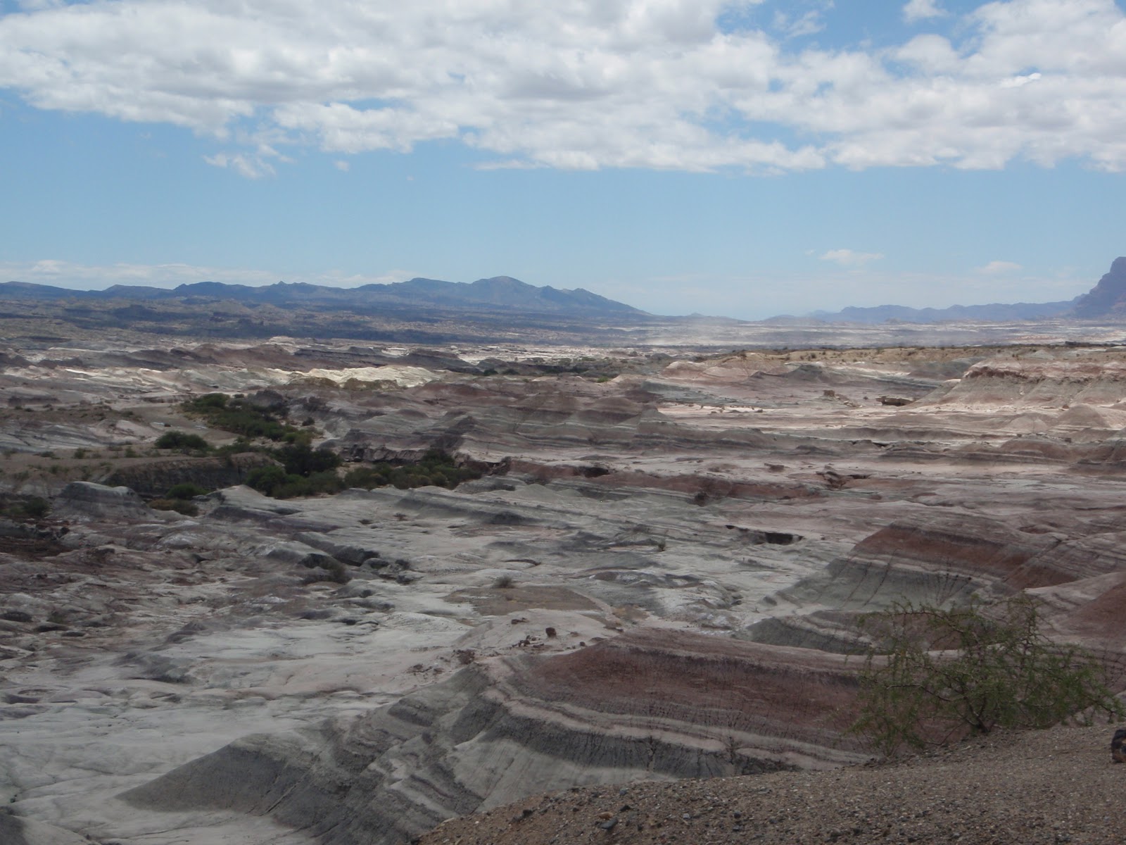 ReWhatever "Palm to Palm is Holy Palmer's Kiss" Shakespeare