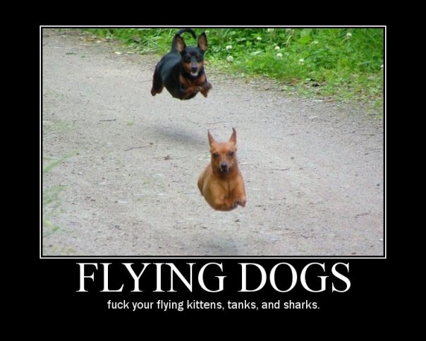 [Flying-Dogs.jpg]