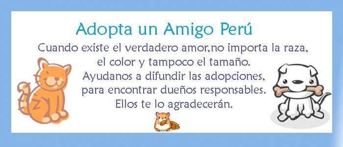 Adopta un Amigo Perú