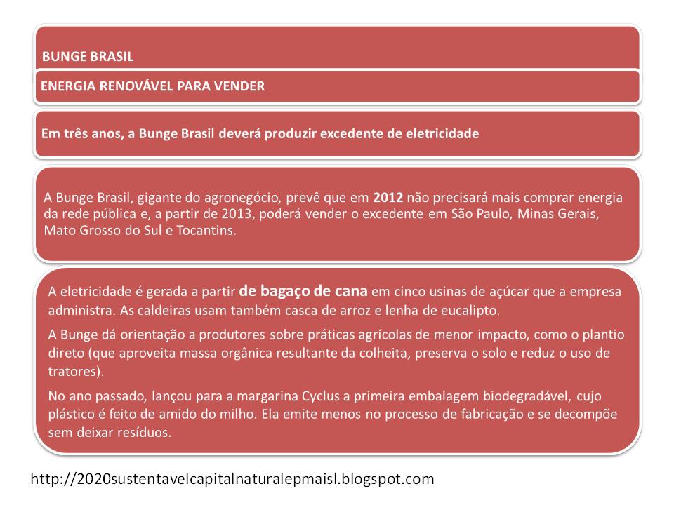2020 Sustentável Produção Mais Limpa Vídeo P+L e Capitalismo Natural