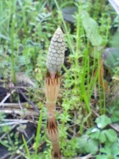 [20100304091322-700049.jpg]