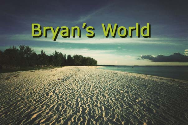 Bryans World