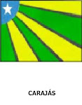 Possível Bandeira do Estado de Carajás