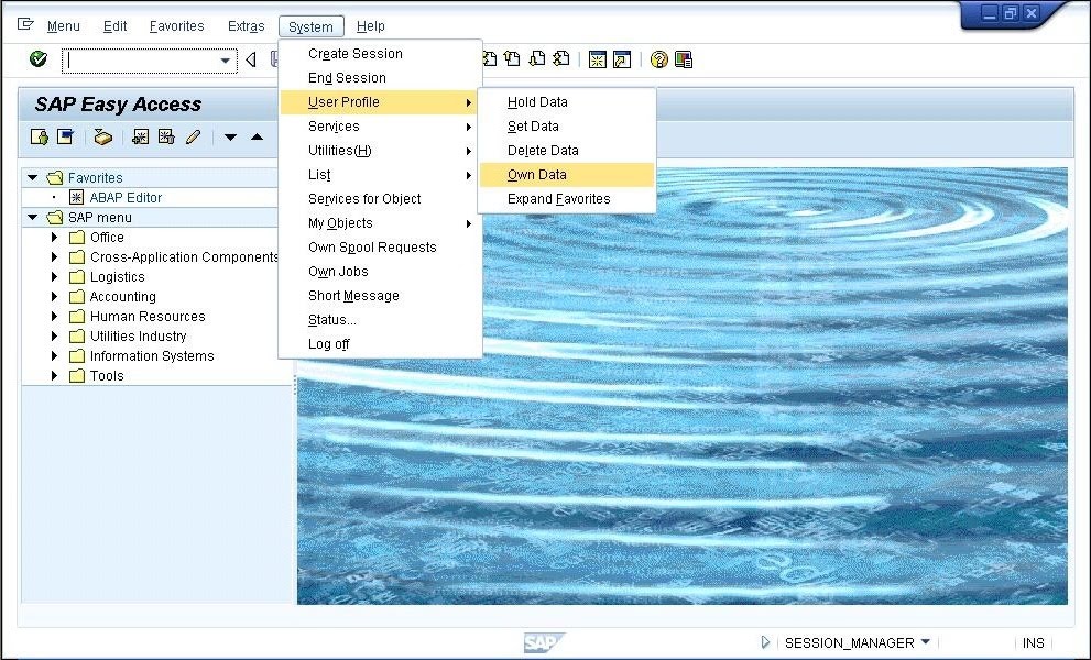 Details 300 sap background job table Abzlocal.mx