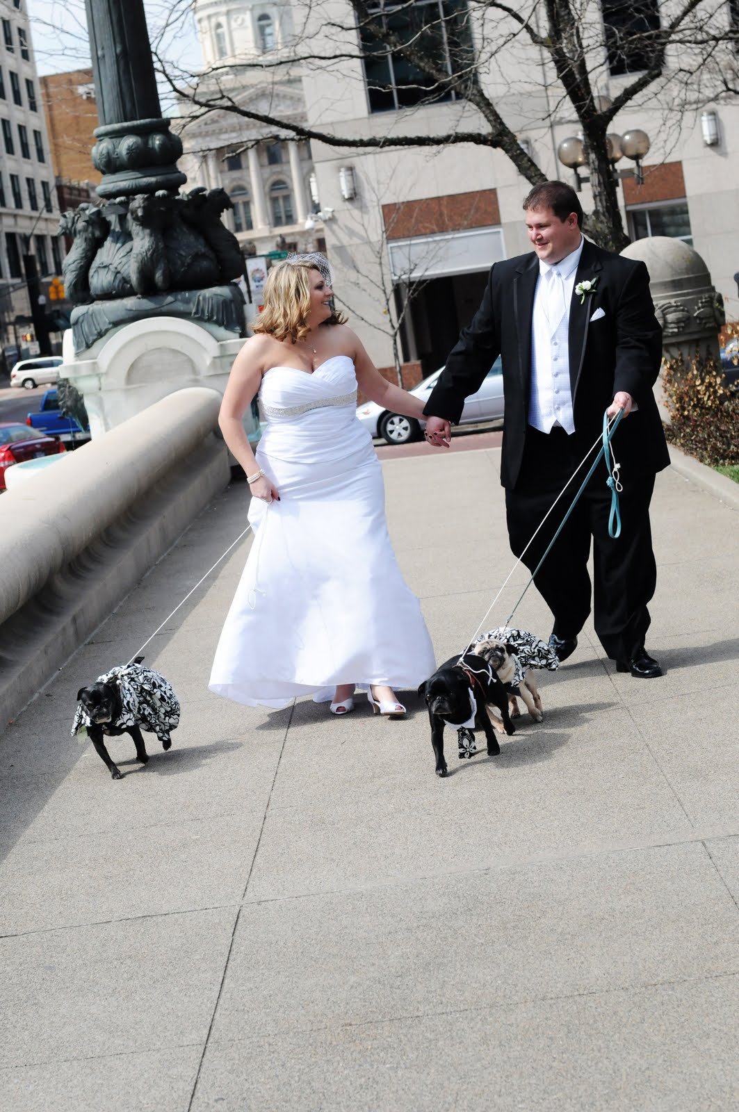 Miss Pug's Pawfect Wedding: Our Pawfect Wedding: Pugs & Us