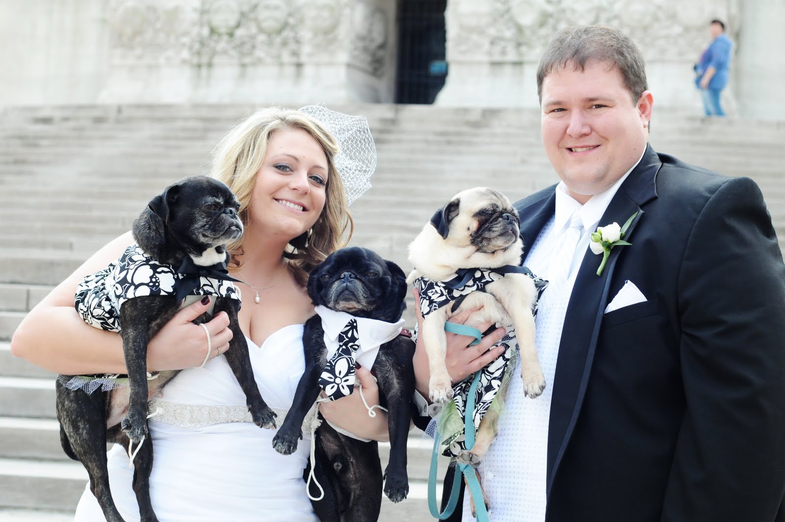 Miss Pug's Pawfect Wedding: Our Pawfect Wedding: Pugs & Us