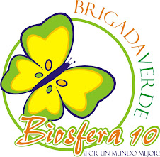 Brigada Verde Biosfera 10