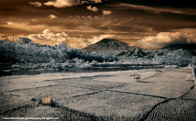History of Infrared Photography, Infrared Photography