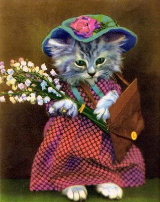 kitten+dress+flowers.jpg