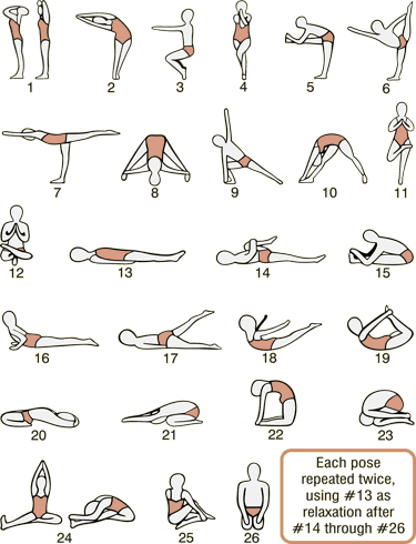 15+ Hot Hatha Yoga 26 Poses | Yoga Poses
