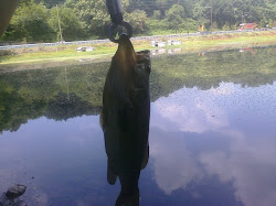 2 pound Bass