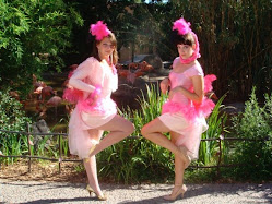 Flamingos