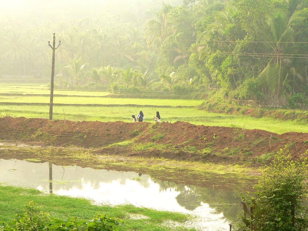Chinga Masam Beginning of Harveset Fesetival Season in Kerala God's