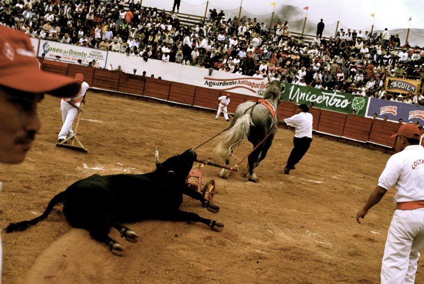 [Colombia_bull_fight_blog+-+6.jpg]