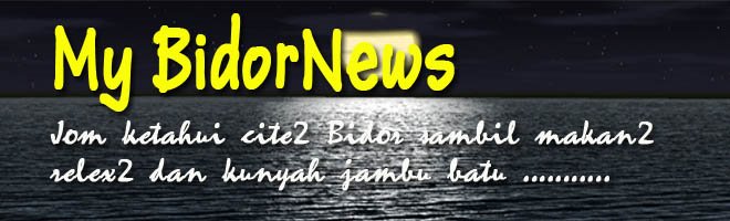 My BidorNews