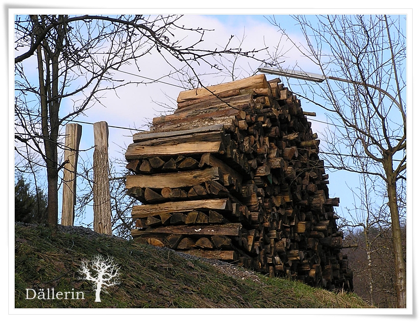 Pokemon Soulsilver Rom Freezing Us Patch