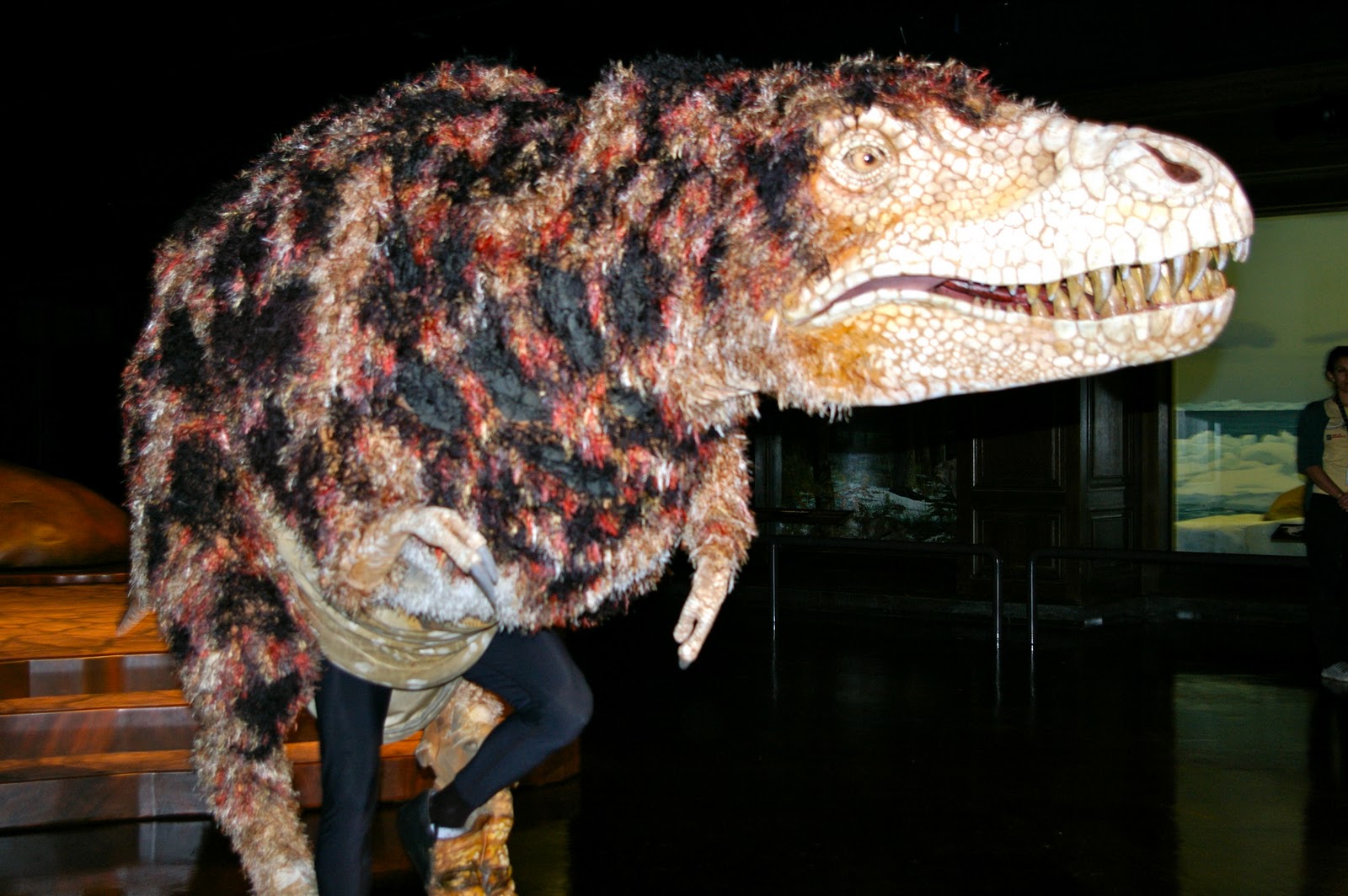 Lighting the Fire Field TRIP!! Natural History Museum