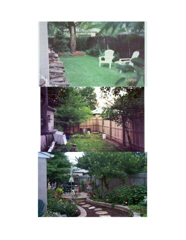 EVOLUTION OF MY YARD