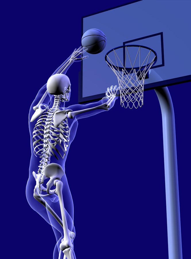 [Basketball_Anatomy.jpg]
