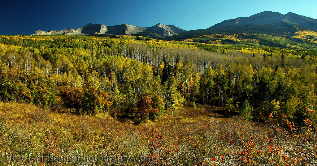 Colorado Wilderness Hiking and Camping in the Backcountry Kebler Pass