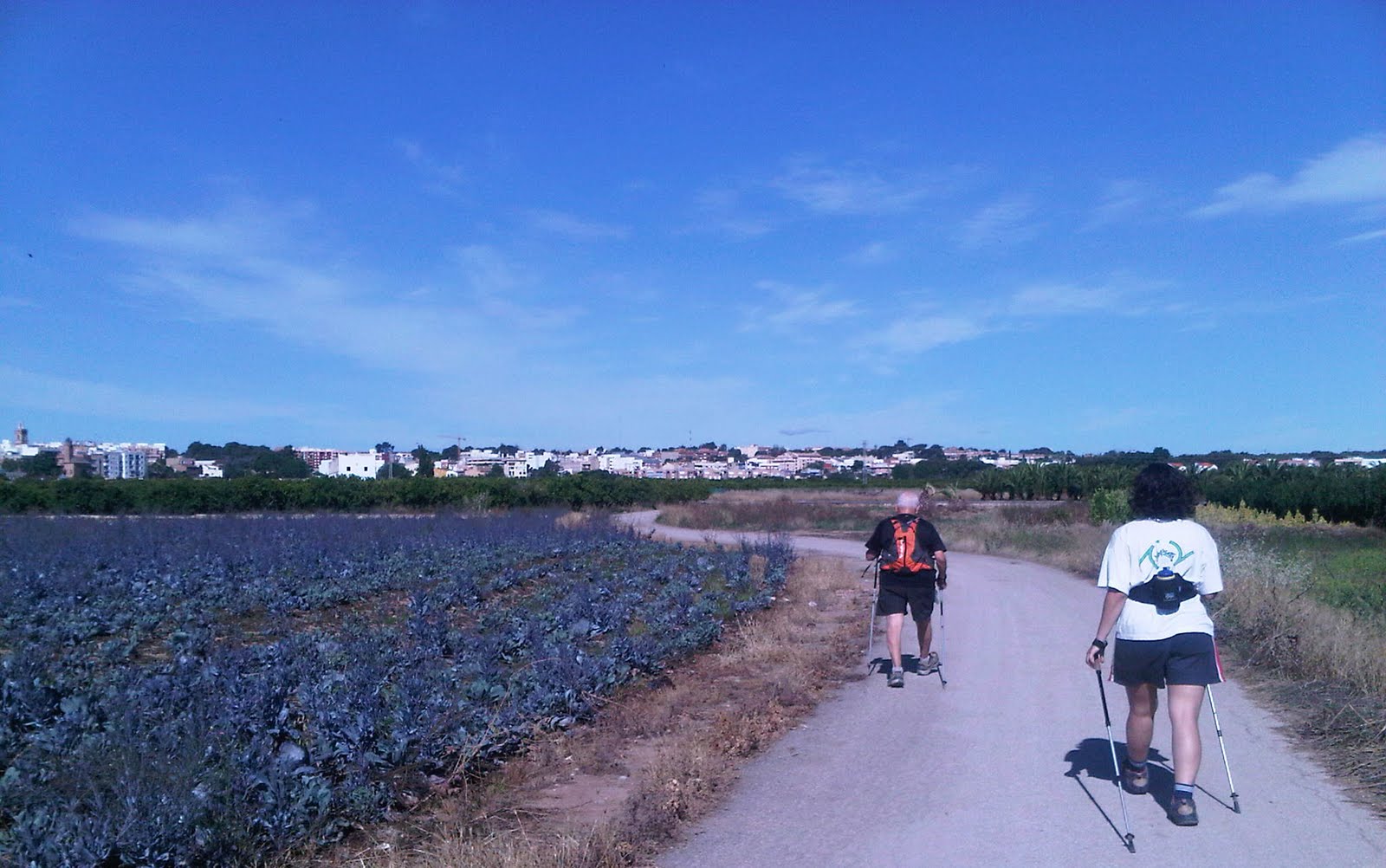 Caminar por la Calderona: Jueves 17 de junio: Godella - Tabernes ...
