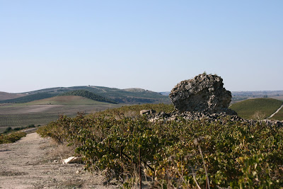 Cerro de La Torre. Al fondo, la torre de Torrecera