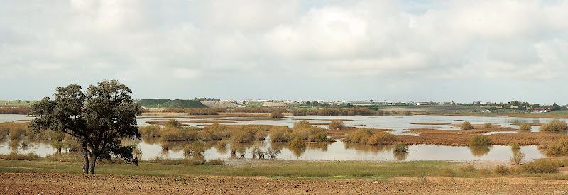 Laguna de Los Tollos