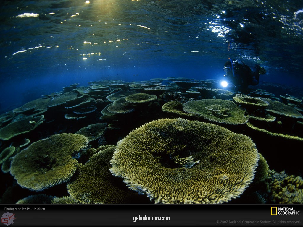 [table-coral-1030892-lw.jpg]