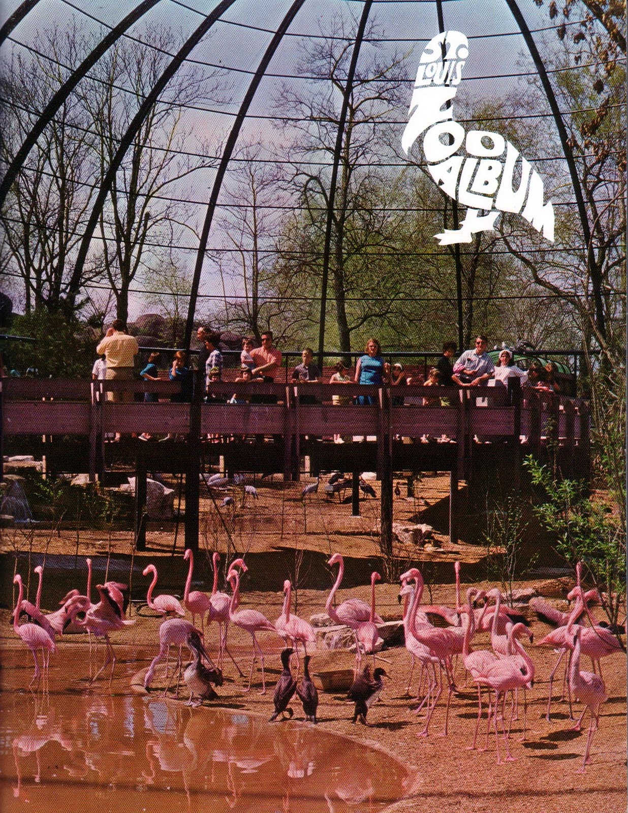 and everything else too: St. Louis Zoo &#39;68