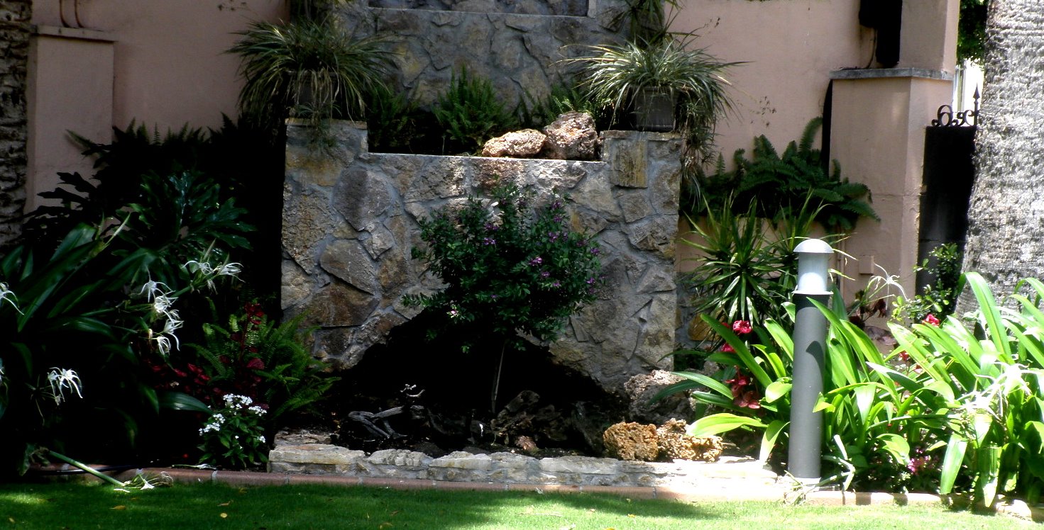 jardinbio: Césped tepes y semillas, pasados 40 dias