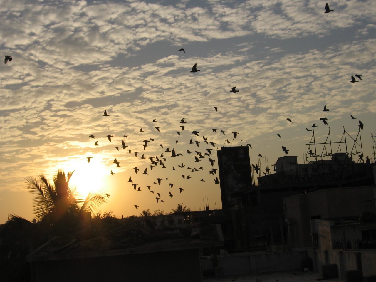 [139200457_ad9c93a744_o.jpg]